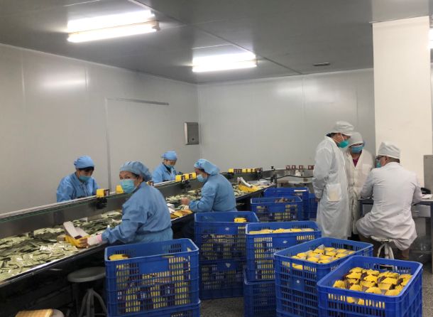【初心如磐，使命在肩】海洋之神hy590第三党支部组织员工提前复工保险出产