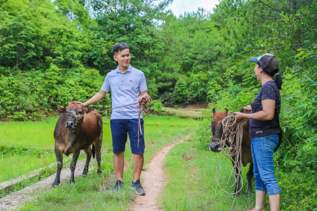 喜讯|白云山海洋之神hy590公司驻村干部巫幼锦荣获广东省2019-2020年脱贫攻坚工作凸起贡献幼我传递表彰